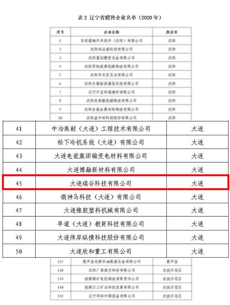 2020-12-08 大連瑞谷科技有限公司入選遼寧“瞪羚”名單(圖2)